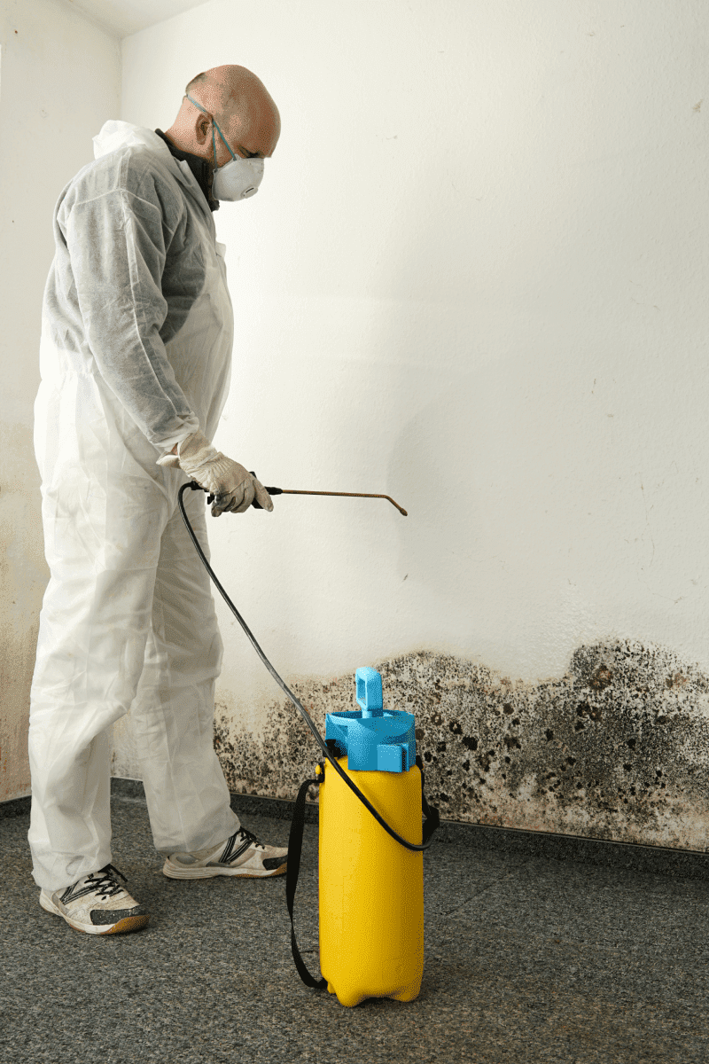 Mold Remediation by A-Team Restoration